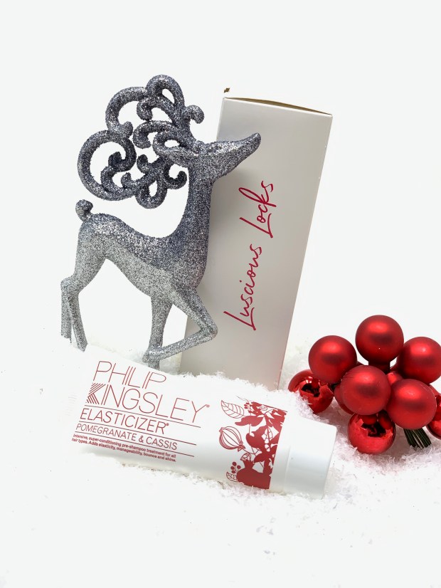 Philip Kingsley Elasticizer